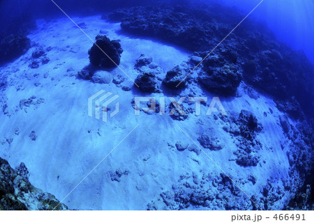 岩 砂 海底 岩礁の写真素材