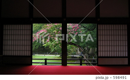 和室 障子 百日紅 高台寺の写真素材