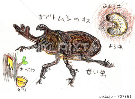 カブトムシ幼虫のイラスト素材