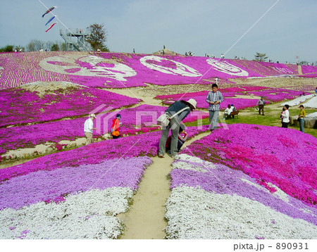 芝桜 花夢の里ロクタン 世羅郡世羅町 広島県の写真素材