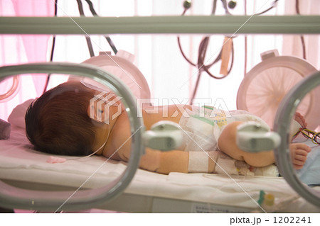 未熟児室の写真素材