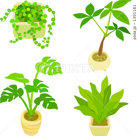 ミニグリーン 植木 観葉植物 植物のイラスト素材