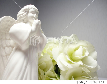 天使 祈り 花 白色の写真素材