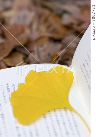 しおり 読書の秋 落ち葉 銀杏の写真素材