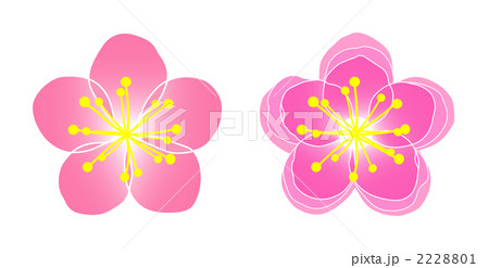 桃の花 花 イラスト 八重咲きのイラスト素材