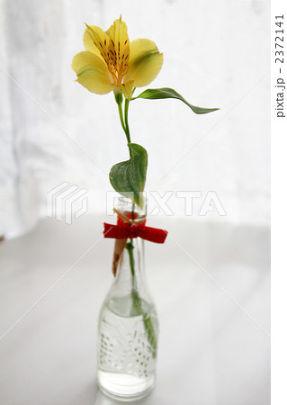 アルストロメリア 花 ガラス器 花瓶の写真素材