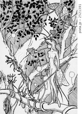 妖精 モノクローム メルヘン ペン画のイラスト素材