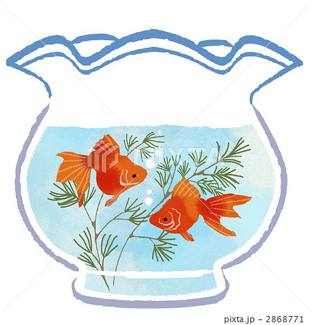 金魚鉢 水草 イラスト ガラスのイラスト素材