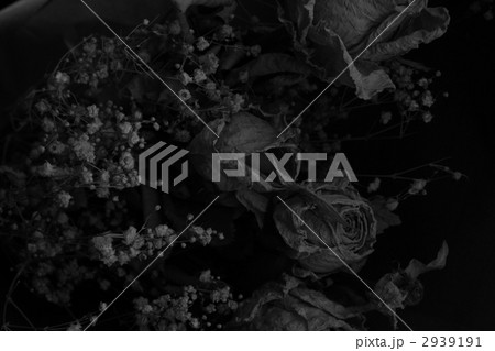 花束 ドライフラワー モノクロの写真素材