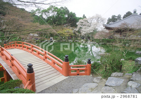 太鼓橋 日本庭園 醍醐寺 風景の写真素材