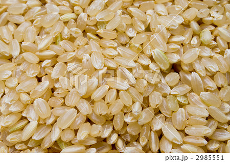 ジャポニカ米 玄米の写真素材