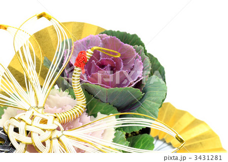 正月 新年 葉牡丹 ミニ葉牡丹の写真素材
