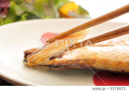 サバ 青魚 サバ科 スズキ目の写真素材 サバ 青魚 サバ科 スズキ目の写真素材