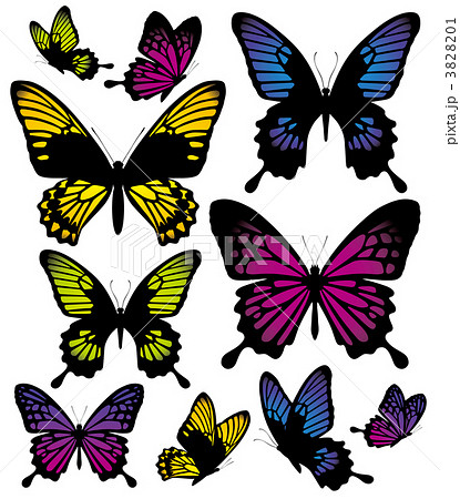 アゲハ蝶のイラスト素材 Pixta