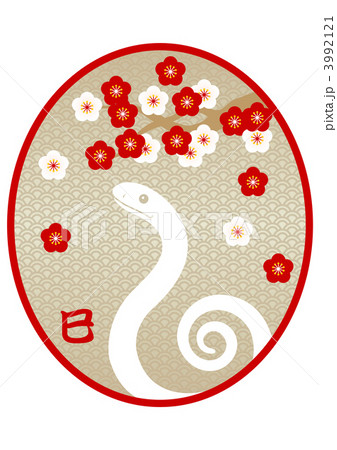 ヘビ 和柄 頭 イラストの写真素材