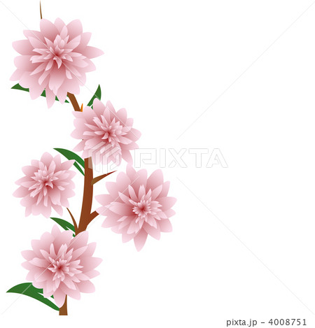 脆弱 花 儚いのイラスト素材 脆弱 花 儚いのイラスト素材