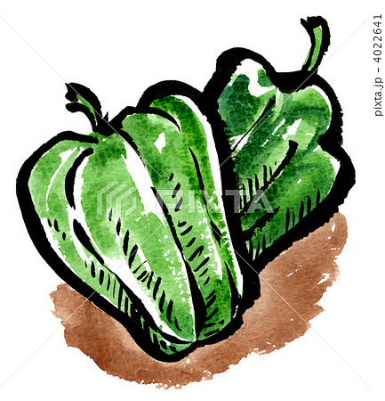 絵手紙風 ピーマン イラスト 野菜の写真素材