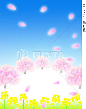 桜 桜並木 菜の花 春のイラスト素材