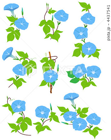 イラスト 青色 Cg つる 花のイラスト素材