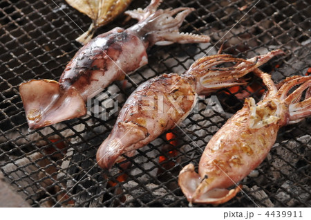 イカ焼 食べ物 炭火焼 甲殻類の写真素材