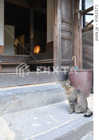 国木田独歩館の写真素材