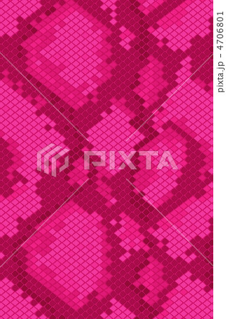 ヘビ柄のイラスト素材