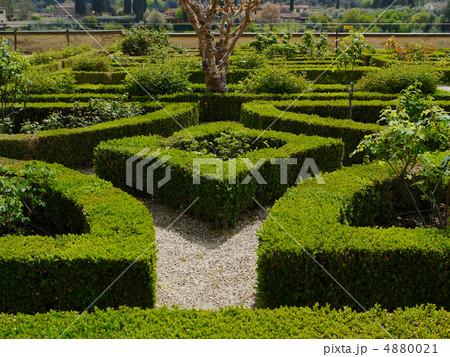 テラス式庭園 イタリア式庭園 ボボリ庭園 幾何学式庭園の写真素材