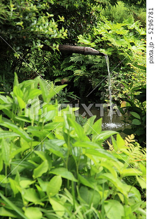 ししおどし 鎌倉 池 日本庭園の写真素材