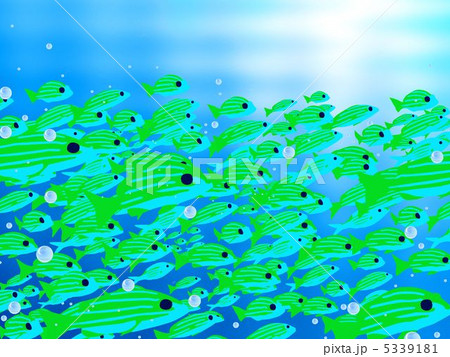 魚 魚群 黄緑 海の写真素材