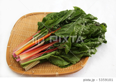 野菜 葉物 西洋野菜 葉野菜の写真素材