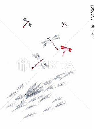 アキアカネのイラスト素材