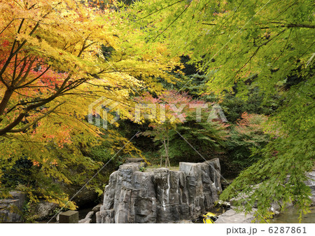 冠岳の紅葉の写真素材