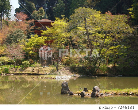 浄瑠璃寺庭園の写真素材