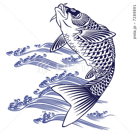 魚 鯉 浮世絵 和風のイラスト素材