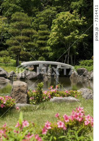 庭 日本庭園 石橋 池の写真素材 - PIXTA