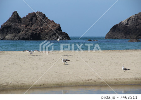 三瀬海水浴場の写真素材