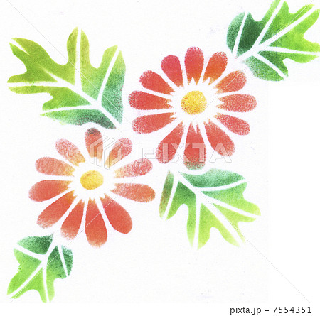 花 菊 ステンシル 植物の写真素材