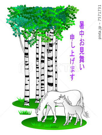 白樺のイラスト素材