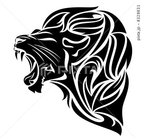 うなっている 猛烈 ライオン 黒色の写真素材