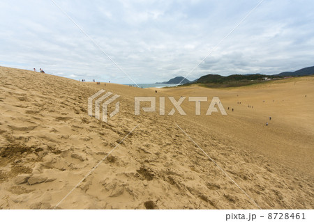 鳥取砂丘 観光名所 鳥取県 群集の写真素材