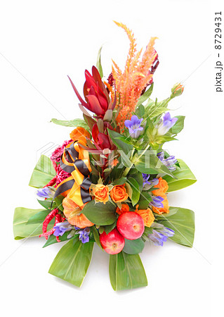 唐辛子のブーケの写真素材