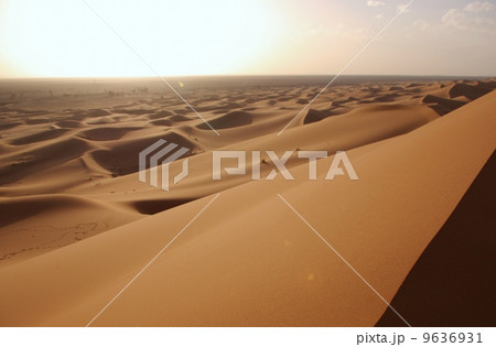 風紋 サハラ砂漠 きれい 大自然の写真素材