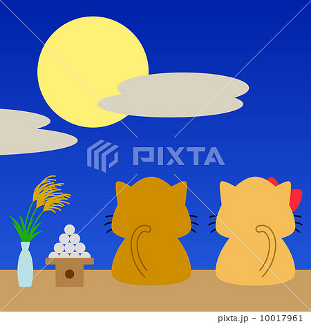 猫 月 月見 子猫の写真素材 - PIXTA