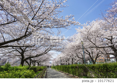 Minami Temma Park Photos