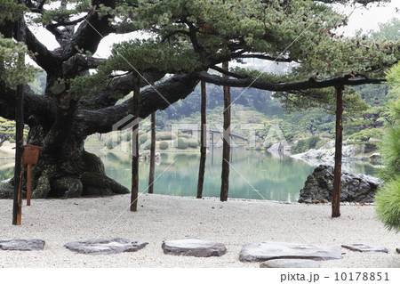 松葉ほうき 箒目の写真素材 松葉ほうき 箒目の写真素材