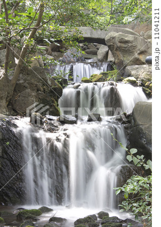 八芳園 日本庭園 庭園 滝の写真素材