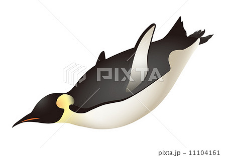 ペンギン イラスト シンプル 水泳の写真素材