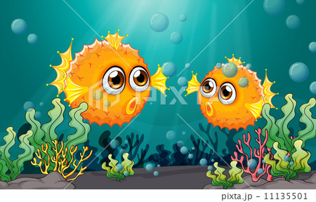 大型フグ 黄色 捕食者の写真素材