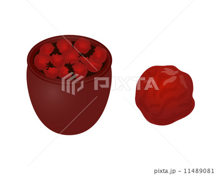 梅干し 食べ物 イラスト 酸っぱいのイラスト素材