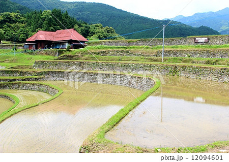 小崎地区 美里町 棚田の写真素材